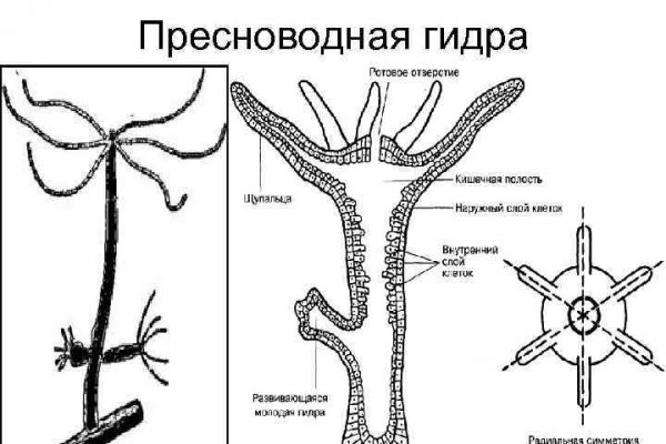 Как зайти на сайт кракен