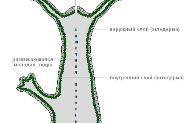 Магазин кракен как попасть