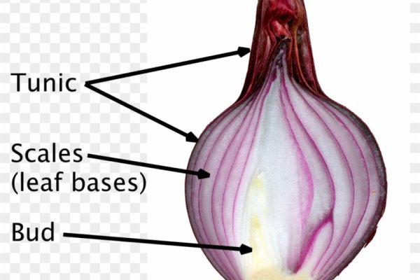 Онион сайты список 2023